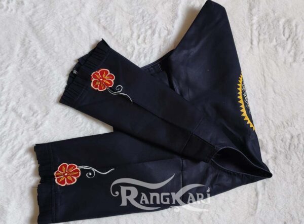hand painted Peacock Chandua design blouse